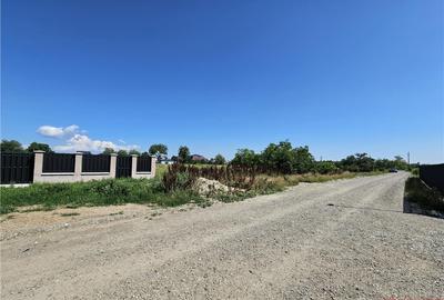 Teren intravilan, 1.600 mp, Serbanesti (LIDL) - 5