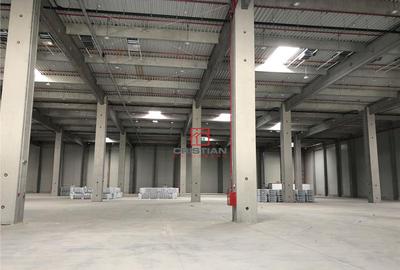 Depozit/hala/spatiu industrial Bolintin Deal - A1 - KM23 - 25