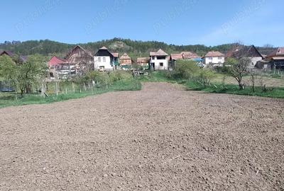 De Vanzare, proprietate frumoasa la ?ara! - 5