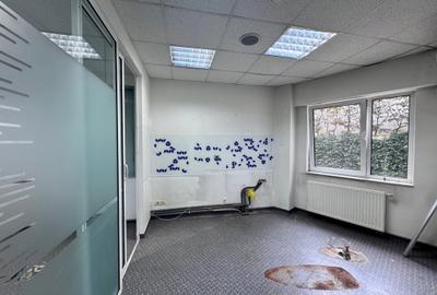 Inchiriere spatiu comercial Herastrau Nordului - 9