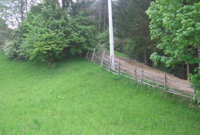 Teren intravilan Valea Doftanei - 6