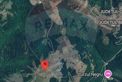 Casă cu 4 camere cu Teren 11769 Mp în Bulz - 12