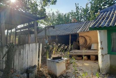 Casă în Enisala - 10