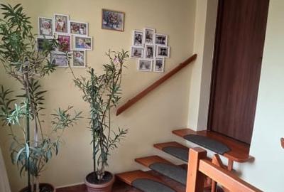 Casa spatioasa cu piscina, crama si teren generos - zona Aurel Vlaicu - 8