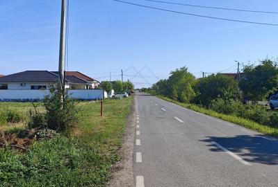 Teren agricol intravilan de 5000 mp, în Moșnița Nouă - 1