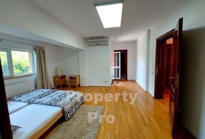 Duplex, 6 camere, Herastrau - 19