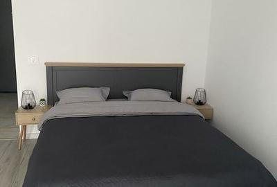 Garsonieră în Brazda lui Novac - 5