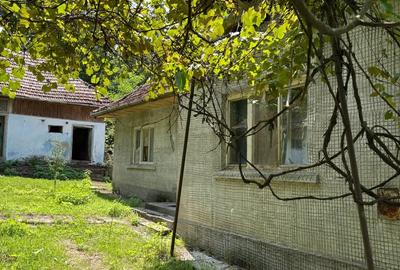 Casa de vanzare in localitatea Vicea - 4