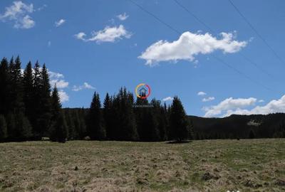 Teren de 50000 mp, în Pietroșița - 9