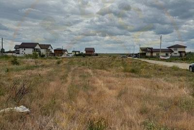 Teren 10.000 mp - Str. Octavian Goga, Craiovei! - 2