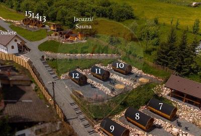 Pensiune cu 15 unita?i de cazare in Media? - 19