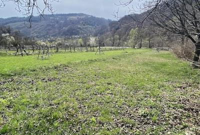 Teren de 2777 mp, în Lunca - 9