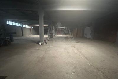 Spațiu industrial, în B-dul București - 6