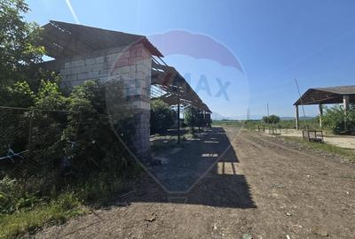 Ferma de vanzare  in Simeria - 5