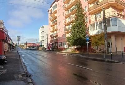 APARTAMENT CU O CAMERA-LA 5 MINUTE DE FSEGA/IULIUS MALL - 17