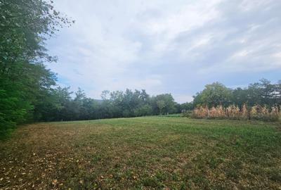 Teren intravilan, cu priveliște spre pădure – Vălenii de Munte - 3