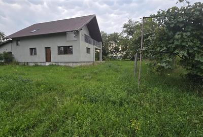 Casă cu 5 camere cu Teren 1483 Mp în Mitocu Dragomirnei - 9