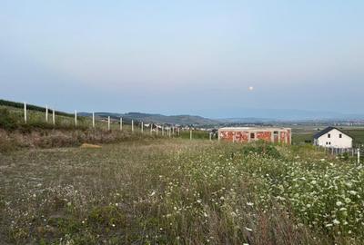 Vand Teren, Sura Mare, 451 mp - 3