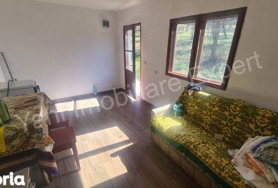 Casă cu 3 camere cu Teren 9815 Mp în Valea Iașului - 9