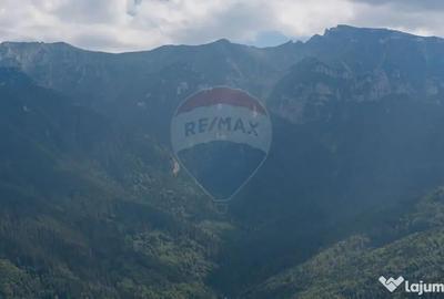 Teren de 15345 mp, în Șimon - 13