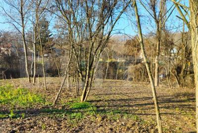 Teren intravilan 738 mp, zona Viforata, Comision 0 - 16