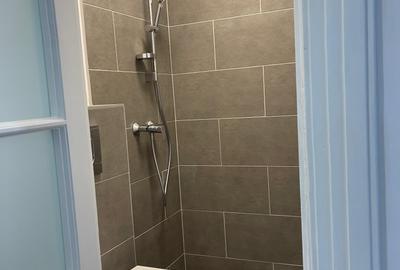 Apartament 3 camere Universitate  - Str. Caimatei - 2