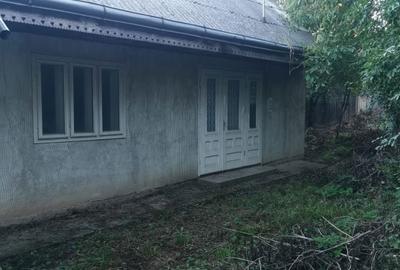 Casă cu 2 camere în Humulești - 2