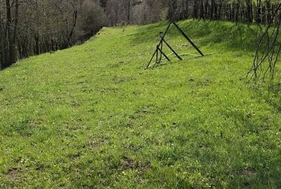 Spațiu comercial, în Valea Doftanei - 4