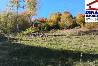 Teren de 3600 mp, în Central - 2