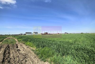 Teren Construcții intravilan de 2200 mp, în Dărăști-Ilfov - 14