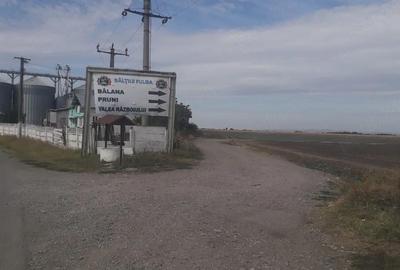 Teren de 40000 mp, în Fulga - 1