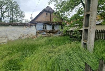 Casa de renovat  in Sinca Noua - 4