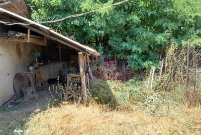 Movilita - vanzare casa 5 cam plus livada pe rod si teren 1800 mp - 41