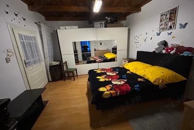 Casă cu 3 camere cu Teren 2241 Mp în Sânnicolau Român - 2