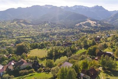 FILM! Edificu remarcabil, deschidere oportunitate de customizare - 20