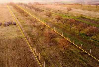 Teren de 5342 mp, în Țețchea - 7