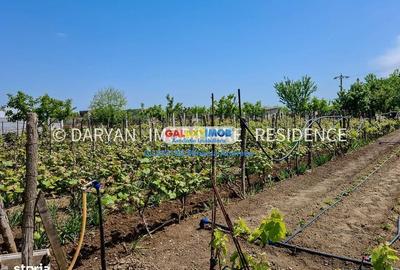 Spațiu comercial, în Poienarii Apostoli - 5