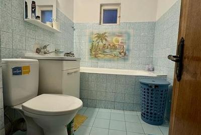 Casa foarte spatioasa D+P+2E amplasare excelenta, str. N. Iorga aproape de Bd. M - 12