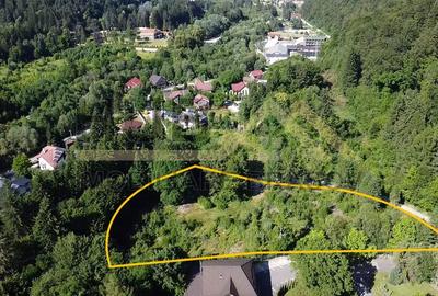 Oportunitate Investitie Teren Dambu Morii | Necesar PUD | Utilitati | 4.800mp - 4