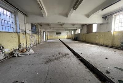 Spațiu industrial, de 1,200 mp, în Buziașului - 1