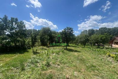 Teren Fedelesoiu/3200 mp/Intravilan - 1