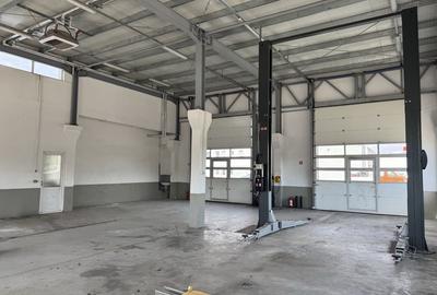 Spațiu comercial, de 400 mp, în Petru Rareș - 4