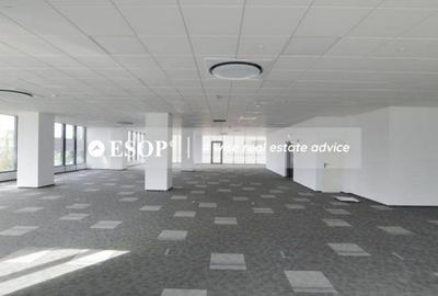 Spațiu comercial, de 390 mp, în Lujerului - 5