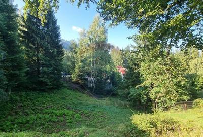 Teren cu Autorizatie de constructie/ Pensiune de lux ... Teren cu Autorizatie de constructie/ Pensiune de lux ... - 2