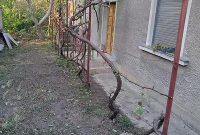 Casă cu 3 camere în Central - 6