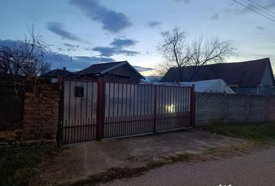 Casă cu 2 camere în Petreni - 4