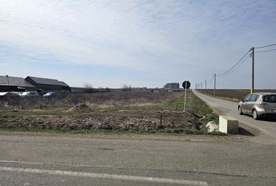 Teren Construcții intravilan de 700 mp, în Răchiți - 1