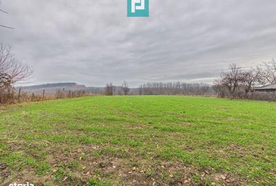 Casă cu 5 camere cu Teren 2837 Mp în Buteni - 2