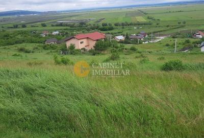 Teren Construcții intravilan de 440 mp, în Chiperești - 3