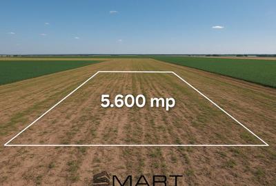 Teren de 5600 mp, în Daia Română